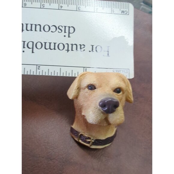 Set of 12 Labrador Retriever Shower Curtain Hooks Black Brown & Blonde Labs - Picture 12 of 14